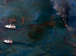 gulf of mexico oil spill clean up