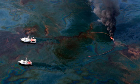 gulf of mexico oil spill clean up